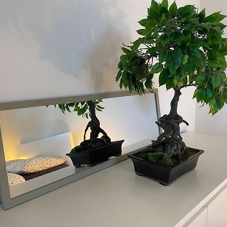 Magnifique Appartement A La Frontiere Suisse Saint-Louis  Dış mekan fotoğraf